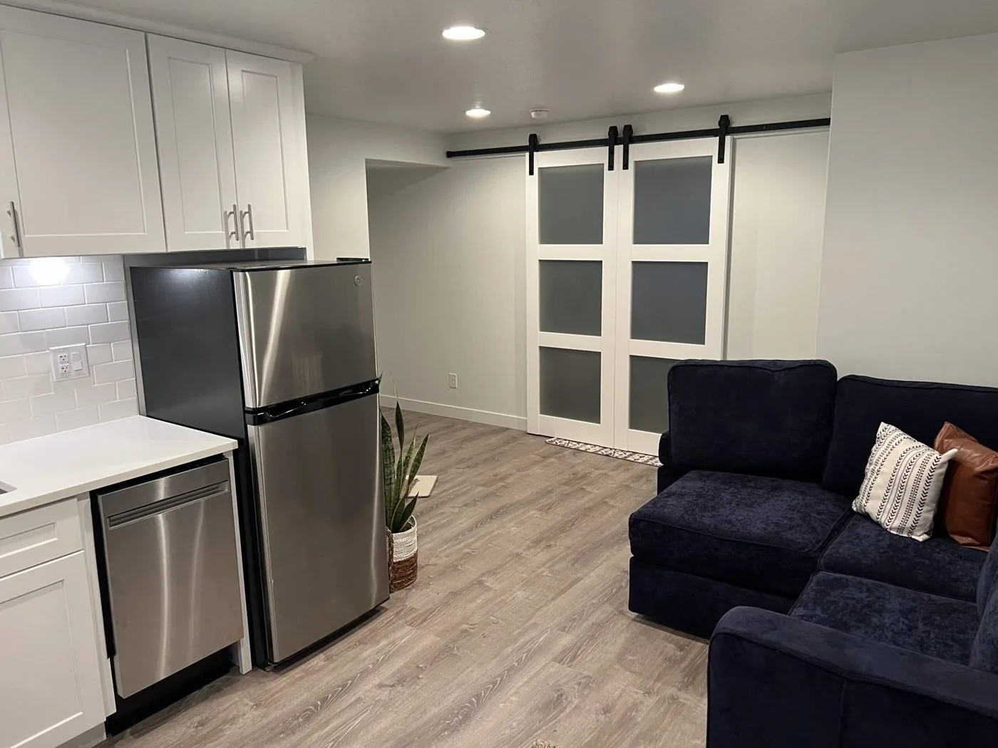 Basement suite with kitchenette and sliding barn doors
